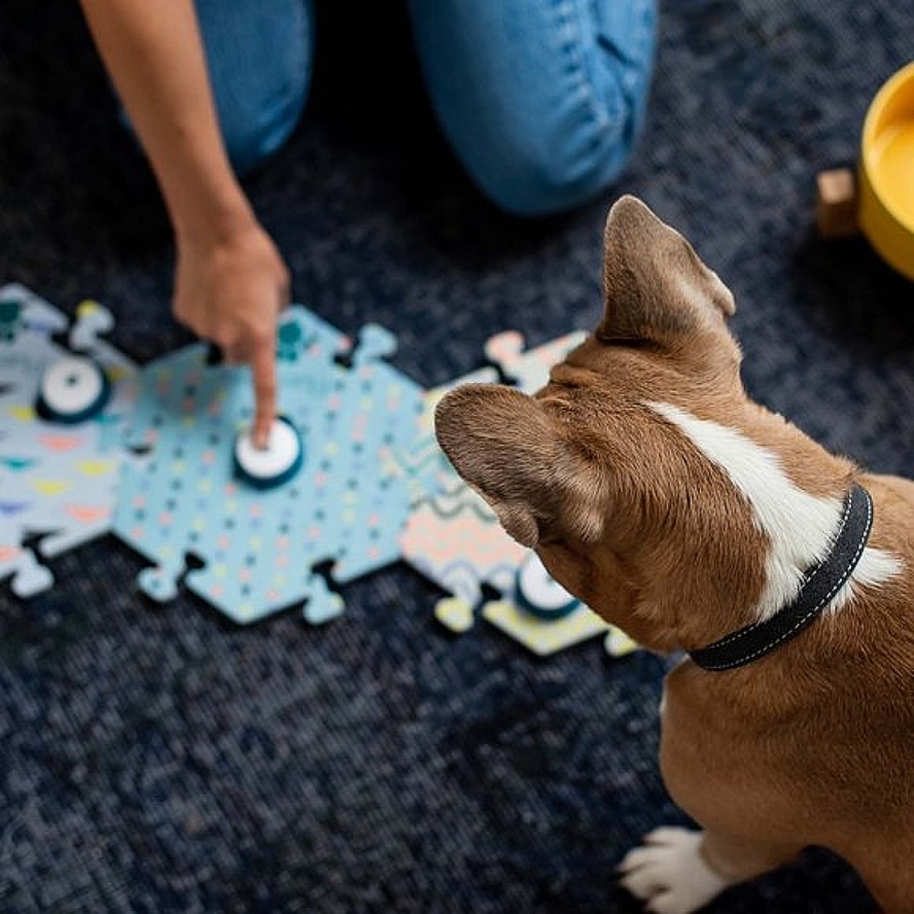 Fluent Pet Button (Great Gift for Pet Owners!) - Picture 12 of 13